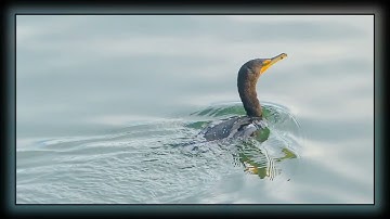 Backlight Frame for PTE AV Studio