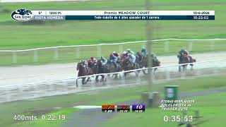Vidéo de la course PMU PREMIO MEADOW COURT