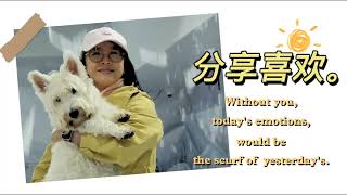 VIDEO 20231219 162905