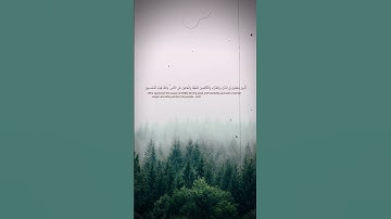 #قران_كريم #القارئ_هيثم_الدخين
