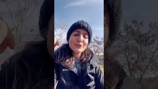 Sasa Serap O Yar Gelir Resimi