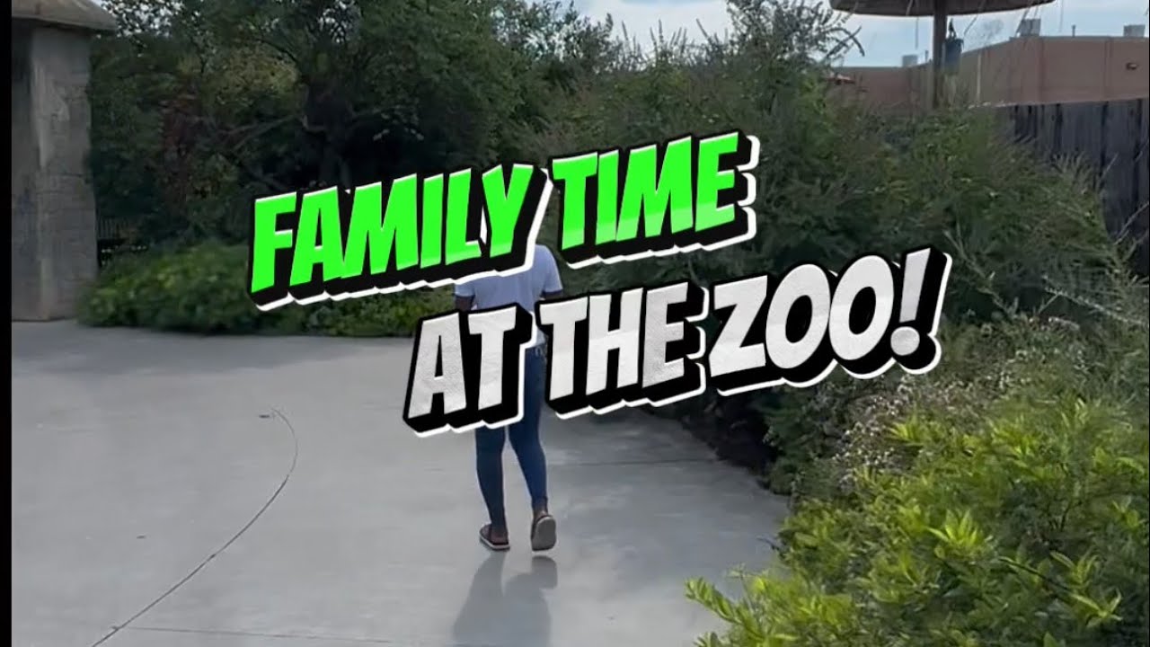 Family Day At The Zoo YouTube Family day at the zoo youtube