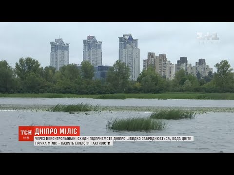 Ходити пішки Дніпром: у столиці більшає мілин посеред головної річки країни