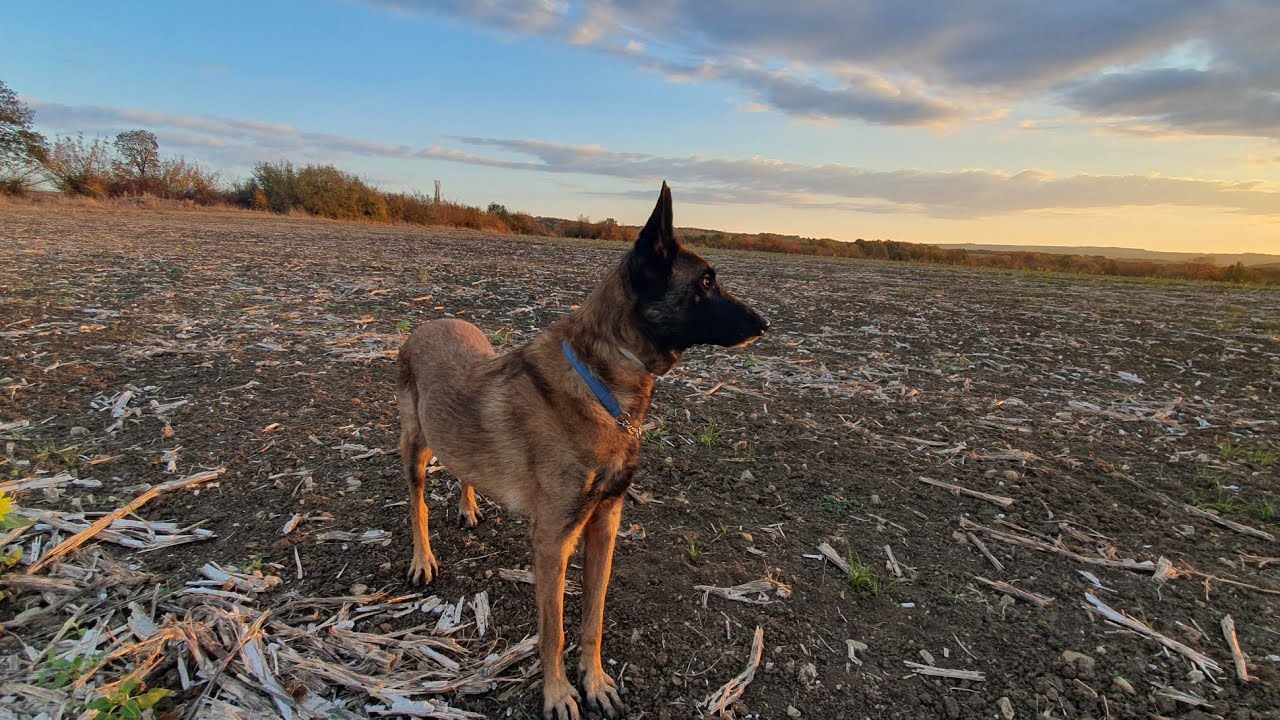 After the rains in Rural Bulgaria 