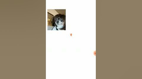 How to set up #CORE testnet on metamask