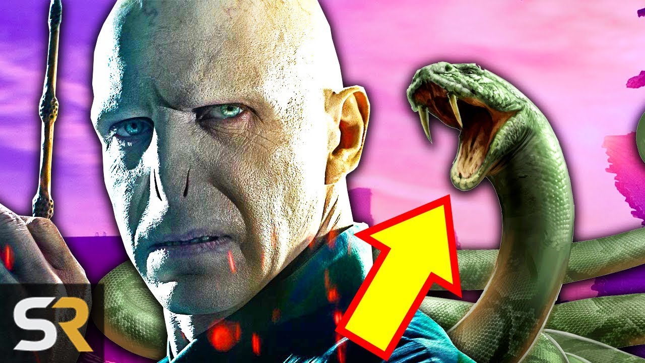 This Voldemort Theory Was Confirmed By Fantastic Beasts 2
