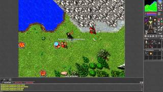 Tibia - Noob Pk - Amazon Tower (HD)
