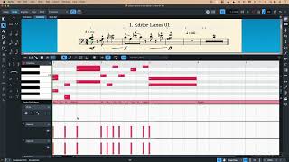 Adding Editor Lanes in Doricos Key Editor