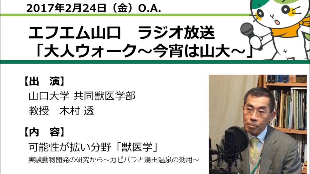 山口大学 大人ウォーク 今宵は山大 山口大学 共同獣医学部 教授 木村透 17 2 24 O A Youtube