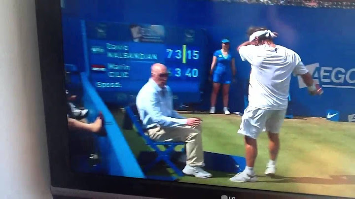 David Nalbandians kick the officials at the queens final