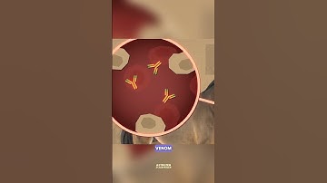 How Snake Antivenom is Made #science #sciencefacts