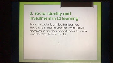 Social Aspects of Interlanguage