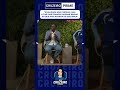 Marcão Cornetando o galim 😂