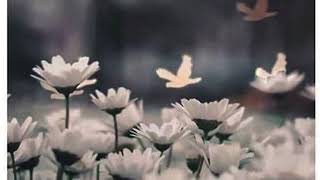 Numcha - Keep Cold (Lyrics)