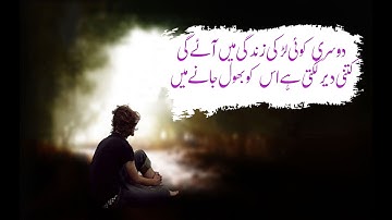 log toot jate hain eik ghar banane main | Bashir Badr Poetry | Sad Urdu Ghazal | Urdu Poetry Studio