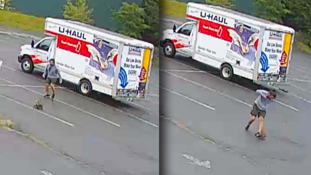 What Is This Vicious Animal In Caught On Camera Attack?