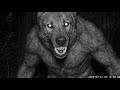New Clearest Creature Footage Caught On Trail Cam 2026