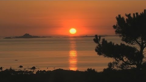 Fuse - The Rise and the Fall Lyric Video