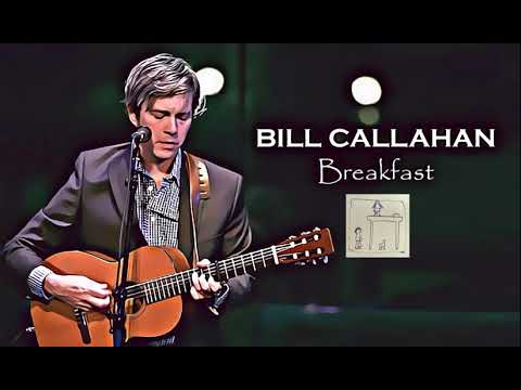 Punk music video thumbnail preview for Bill Callahan - Protest Song