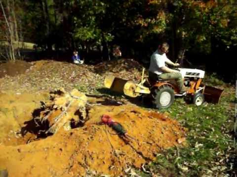 Epic Stump Pull.MOV