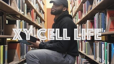 Julien Turner - XY Cell Llif3 (Official Music Video)