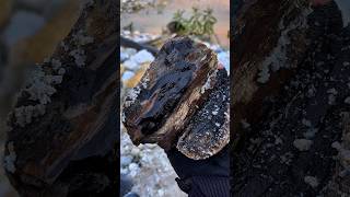 "Crystal Hunting in the River! Unexpectedly, the Prices Are Very High!" 😱#crystalstone #rarecrystal