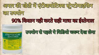 Streptomycin Sulphate Tetracycline Hydrochloride Use And Perfect Dose On Pomegranate Plants