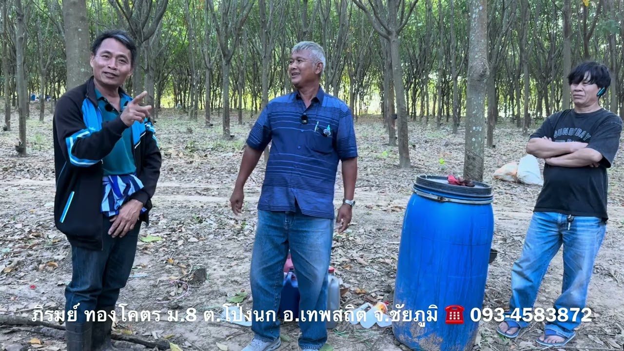 Ep2 สวยยางพาราเทพสถิตใช้น้ำหมักจุลินทรรย์พาราบลาสซีส จุลินทรีย์พด.ใช้เป็นอย่างไร อ. พรต | บ่าวยุทธ