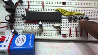 Chapter 4.6 - 8051 On Breadboard with Switches and Multiple LED -Demo Working Video