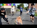初めて小屋から出た愛犬の反応が可愛いすぎた。