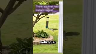 Helicopter Feeders: A Smart Solution to Food-Stealing Squirrels