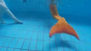 Underwater MERMAID Live Mermaids Swimming in Our Pool!!!!
