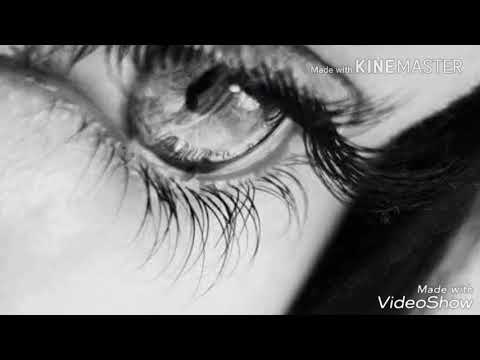 لبيه ياوجهك وياحي ذي العين دنياي ماتسوى حياتي بدونك