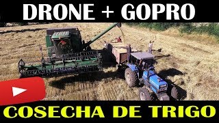 GOPRO5B + PHANTOM 4 | COSECHA DE TRIGO EN CHILE | LA VIDA EN EL CAMPO | TUCAPEL, REGIÓN DEL BIOBIO.