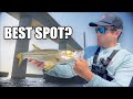 Ref:_x3K0KlLPKI Fishing the skyway bridge and the best spots in tampa bay!