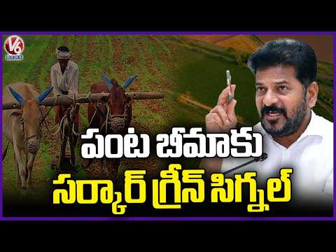 Telangana Govt Green Signal To Crop Insurance | V6 News - V6NEWSTELUGU