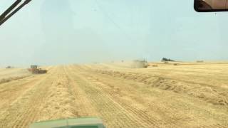 MORE PERENNIAL RYEGRASS BALING WITH MASSEY 2270XD BALER AND DARF 17 WHEEL RAKE