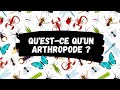   questce quun arthropode  