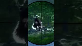 HUNTING Yak in Call of the Wild (Easy Spots &amp; Tips)