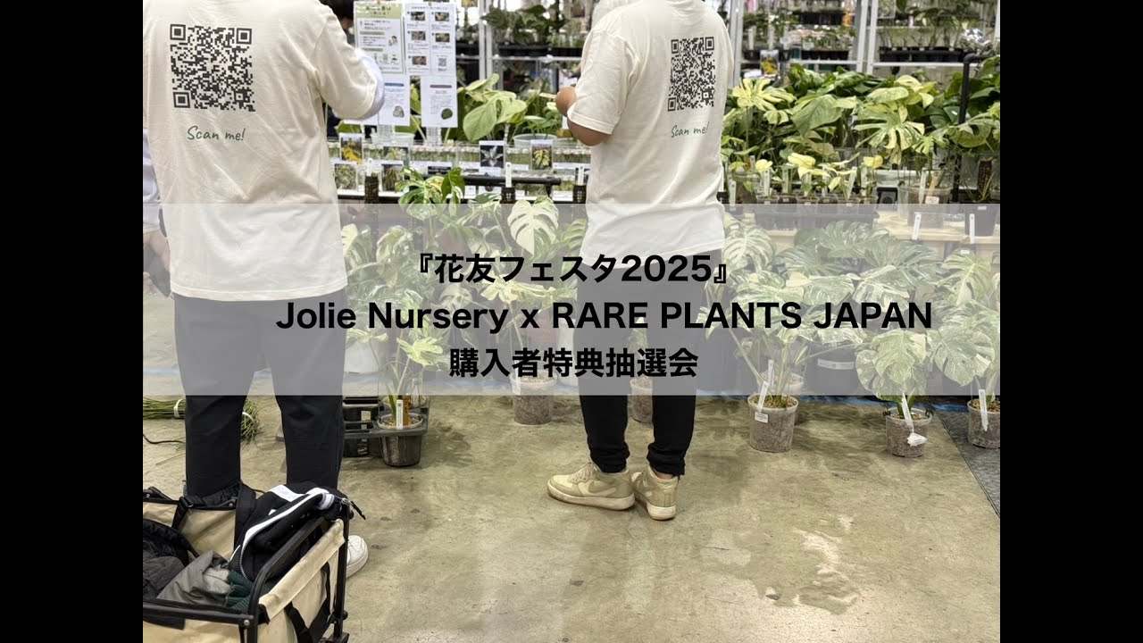 お花々＊様 花冷え。pre. 「春の大解放祭 2025」出演決定！！｜ 4s4ki｜room4