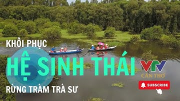 Khôi phục hệ sinh thái rừng tràm Trà Sư | VTV CẦN THƠ