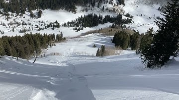 Sluff. 40 degree slope, ENE aspect, below treeline.