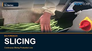 Green Bean Belt Cutter — Uniform Length Segments | TS Series