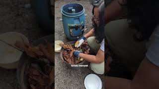 Kalau udah panen, hasil kompos kalian bisa jadi material coklat lagi ya #ngompos #kompos