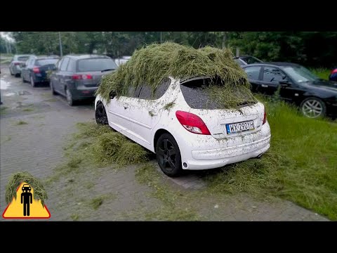 Wideo: Czy parkowanie na trawie jest złe?