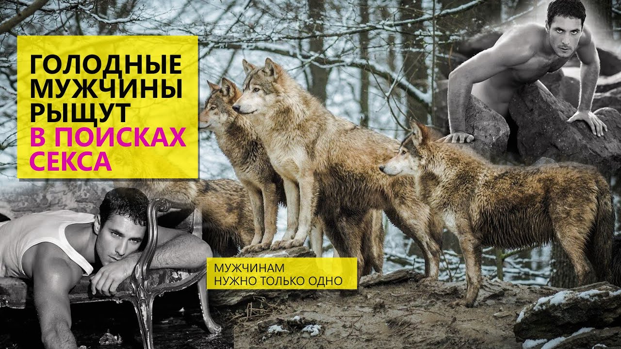 Мужчины рыщут как голодные волки в поисках секса - YouTube