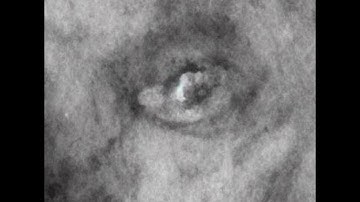 Scarlxrd - Breakcore [SNIPPET]