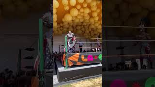 Lucha Libre performances at Festival La Onda in Napa