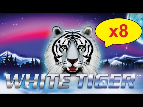 White Tiger Slot - 100x BIG WIN - x8 MULTIPLIER, YES!
