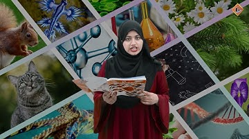 Gohar Science 5|Unit 10|Lec 2|Safety Measures During Performing Activities|Making Technical Devices